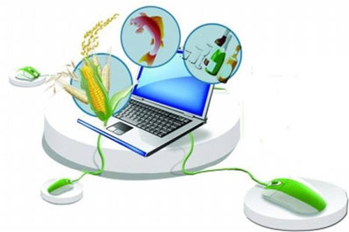 農業CEO的數字化視野 未來農業的數據處理服務革新之路